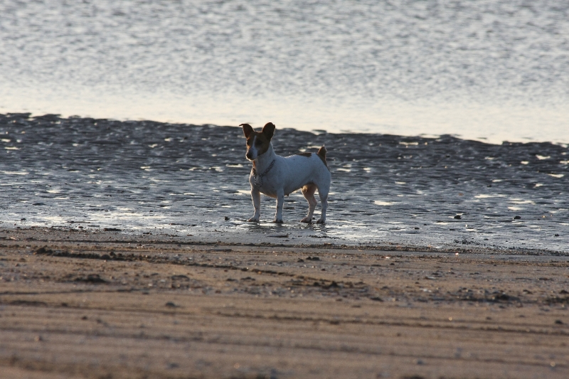 Mély sur la plage.JPG